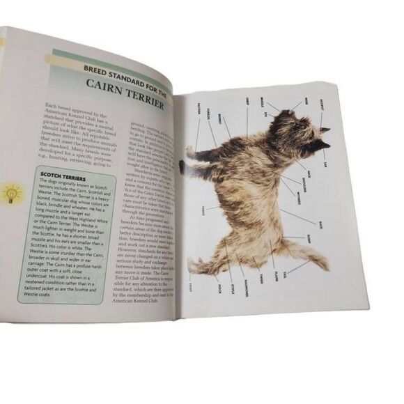 Cairn Terrier A Kennel Club Book A Comprehensive Guide To Owning And Caring For - Picture 5 of 12